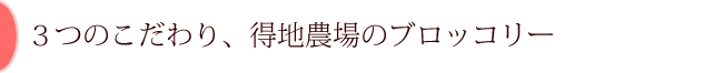 ３つのこだわり、得地農場のブロッコリー