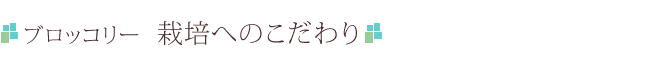 ブロッコリー　栽培へのこだわり