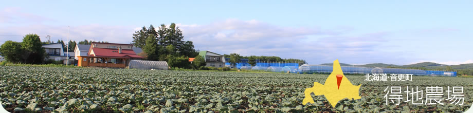 農場風景